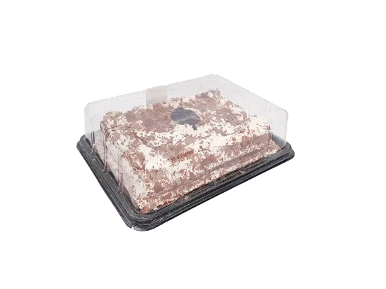 RECTANGULAR CAKE EACH